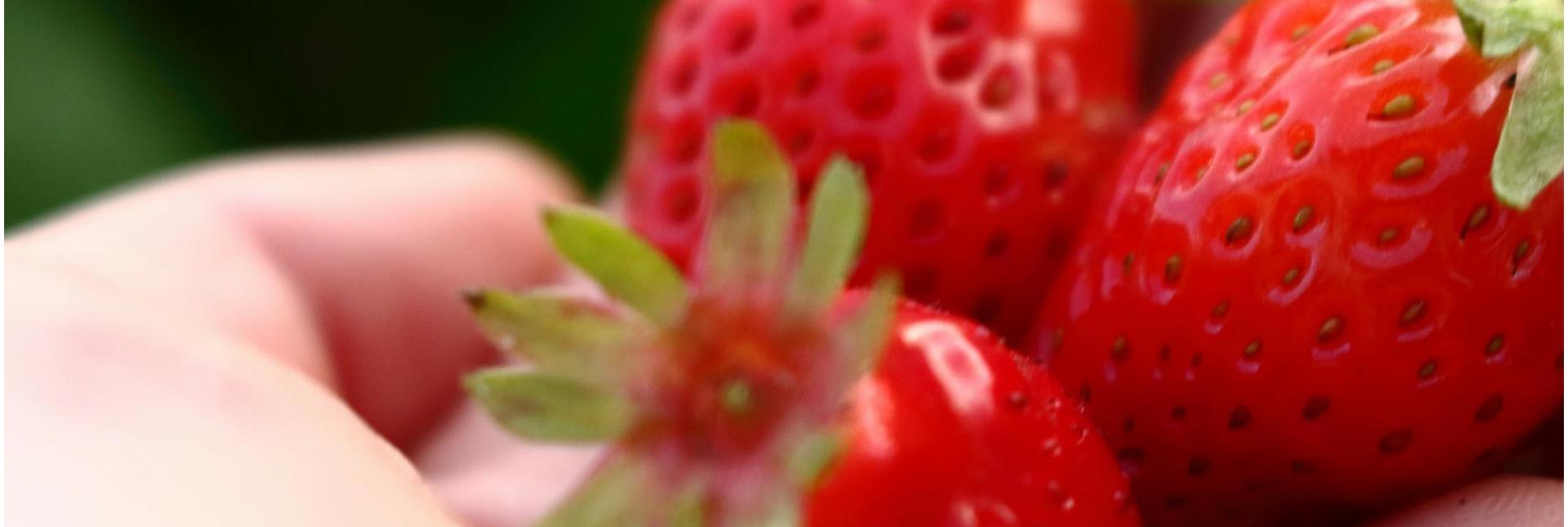 blog-haupt5