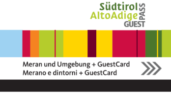 merancard-senior