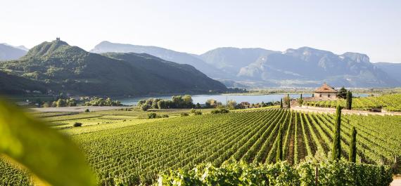 Natura a Bolzano e dintorni