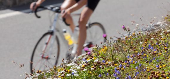 Cycling in the Val Venosta